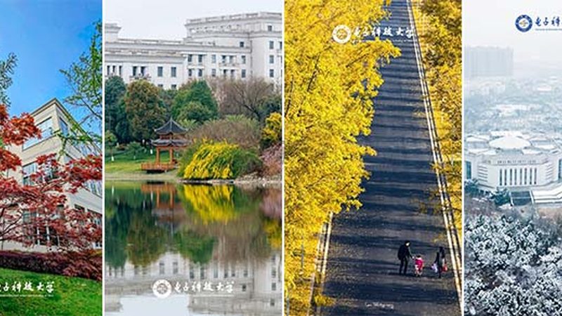 高压二极管耐压值：揭秘其重要性及选择要点**